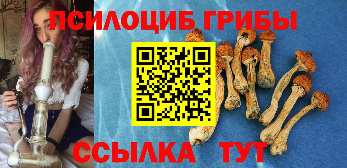 Галлюциногенные грибы мухоморы Новошахтинск